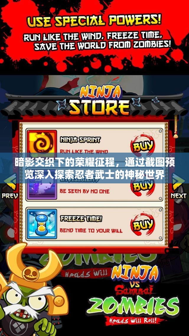 暗影交织下的荣耀征程，通过截图预览深入探索忍者武士的神秘世界