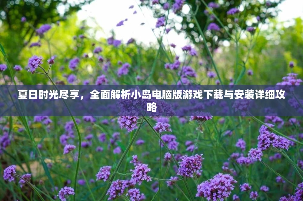 夏日时光尽享，全面解析小岛电脑版游戏下载与安装详细攻略