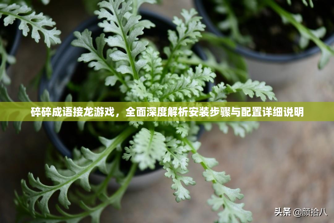 碎碎成语接龙游戏，全面深度解析安装步骤与配置详细说明