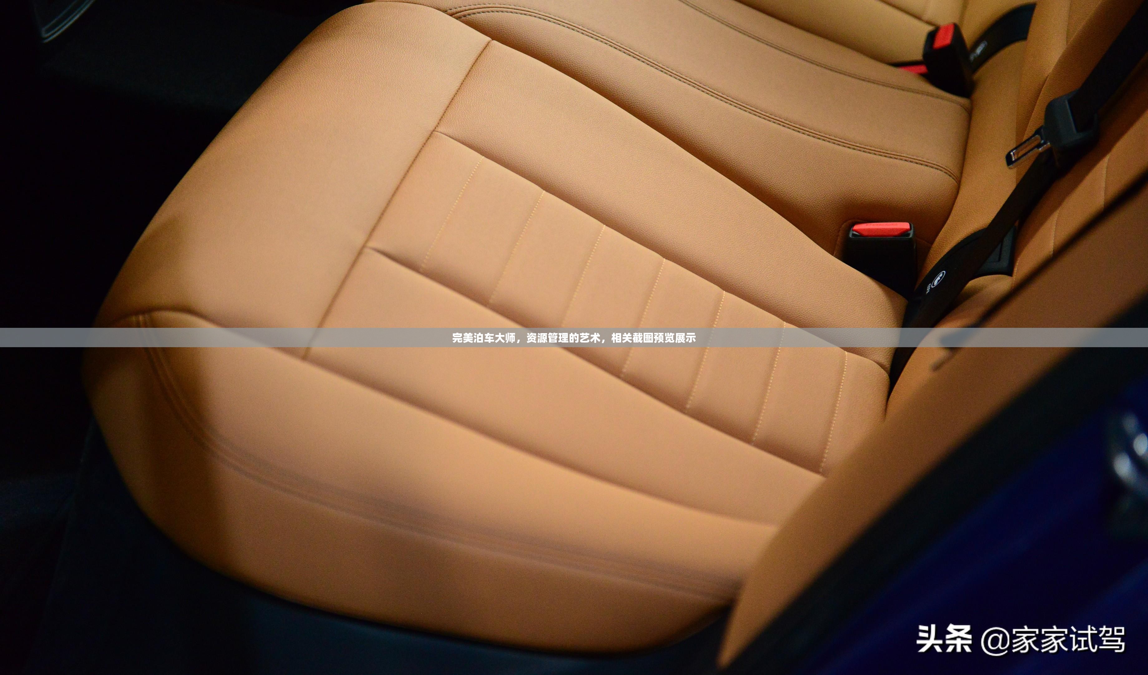 完美泊车大师，资源管理的艺术，相关截图预览展示