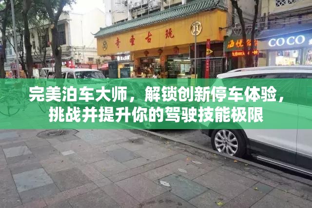 完美泊车大师，解锁创新停车体验，挑战并提升你的驾驶技能极限