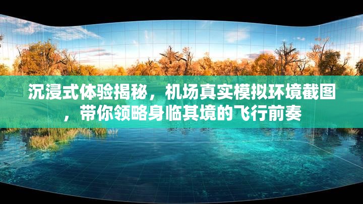 沉浸式体验揭秘，机场真实模拟环境截图，带你领略身临其境的飞行前奏