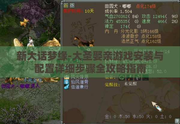 新大话梦缘-大圣娶亲游戏安装与配置详细步骤全攻略指南