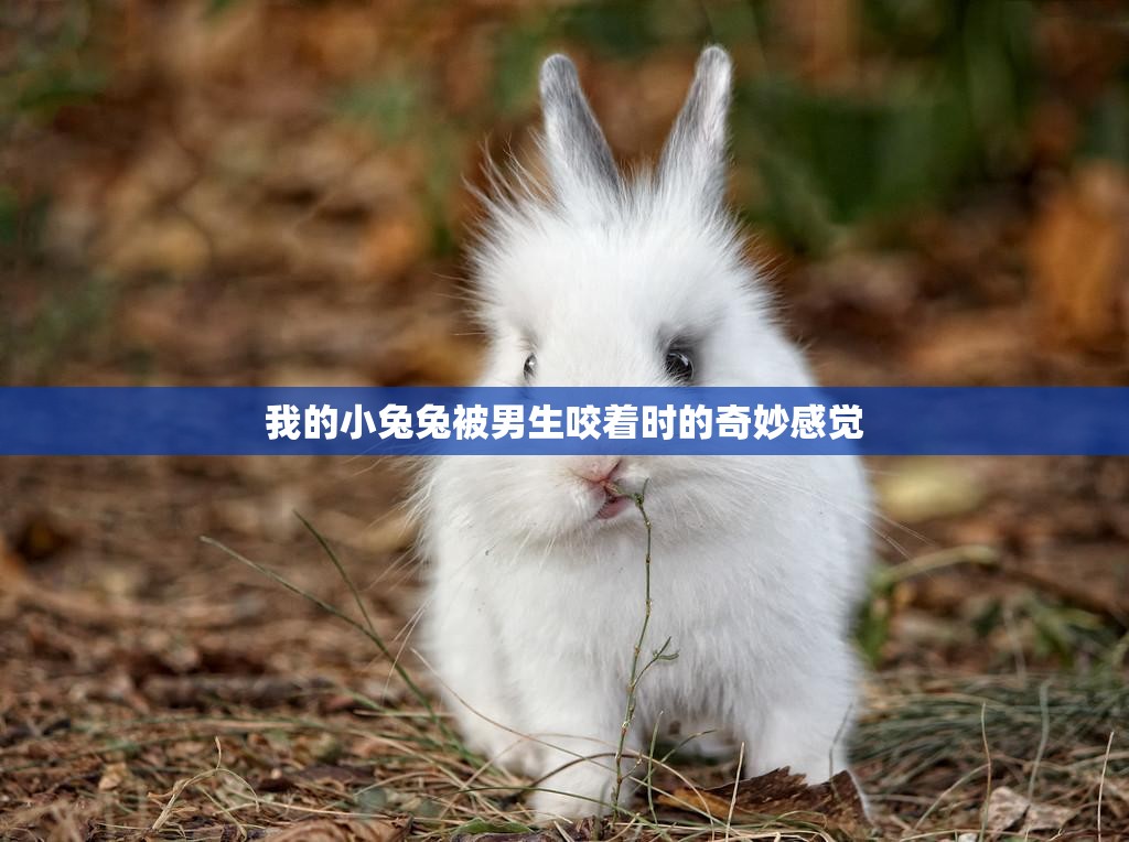 我的小兔兔被男生咬着时的奇妙感觉