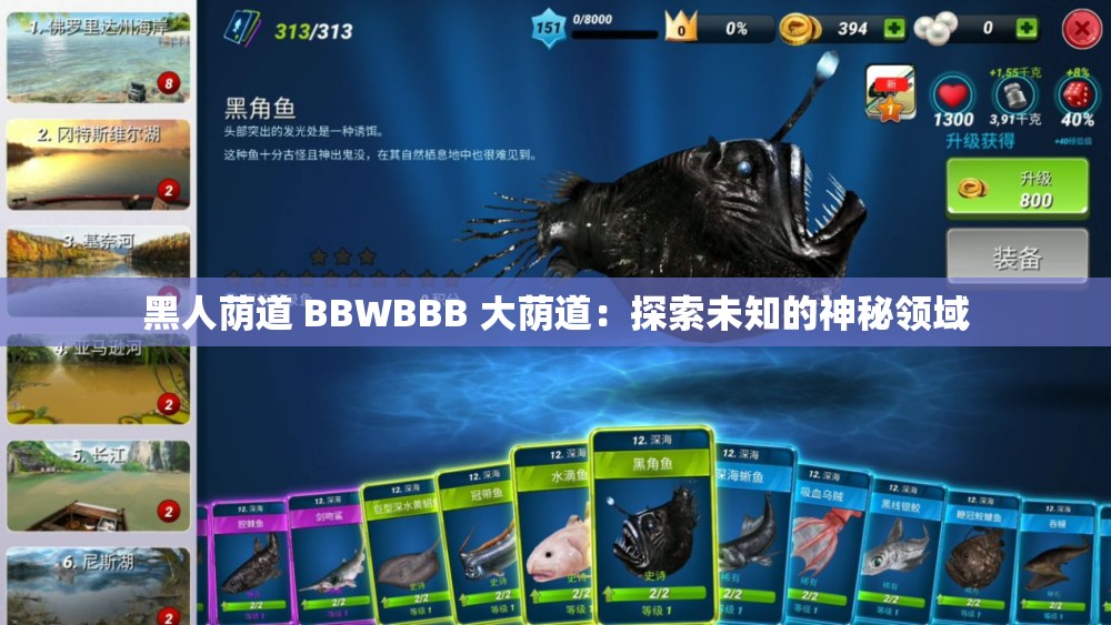 黑人荫道 BBWBBB 大荫道：探索未知的神秘领域