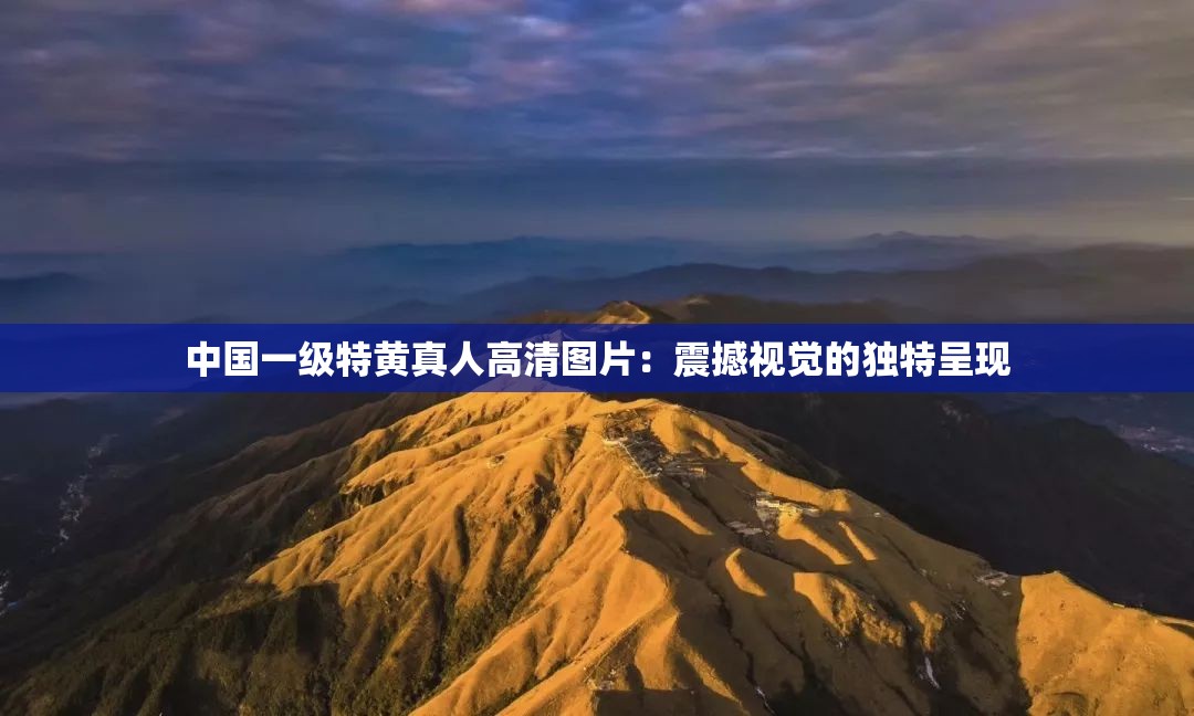 中国一级特黄真人高清图片：震撼视觉的独特呈现