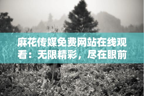 麻花传媒免费网站在线观看：无限精彩，尽在眼前