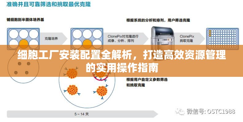 细胞工厂安装配置全解析，打造高效资源管理的实用操作指南