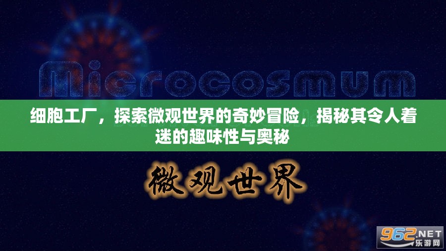 细胞工厂，探索微观世界的奇妙冒险，揭秘其令人着迷的趣味性与奥秘