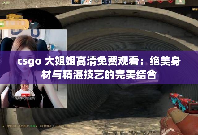 csgo 大姐姐高清免费观看：绝美身材与精湛技艺的完美结合