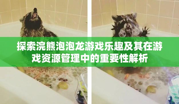 探索浣熊泡泡龙游戏乐趣及其在游戏资源管理中的重要性解析
