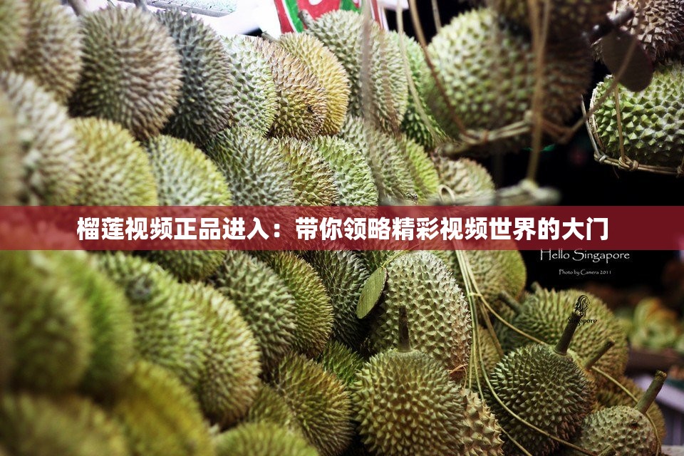 榴莲视频正品进入：带你领略精彩视频世界的大门