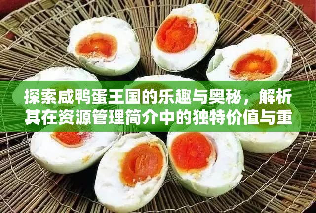 探索咸鸭蛋王国的乐趣与奥秘，解析其在资源管理简介中的独特价值与重要性
