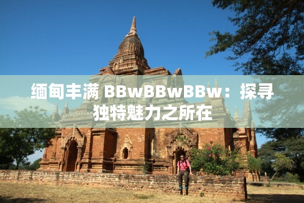 缅甸丰满 BBwBBwBBw：探寻独特魅力之所在