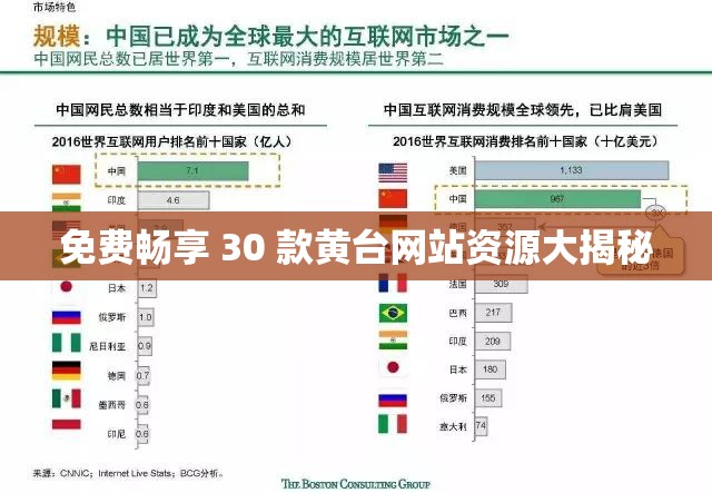 免费畅享 30 款黄台网站资源大揭秘