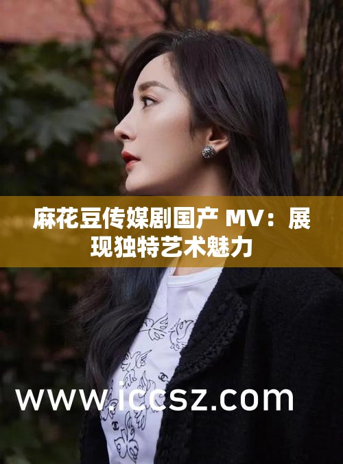 麻花豆传媒剧国产 MV：展现独特艺术魅力