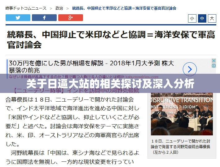 关于日逼大站的相关探讨及深入分析