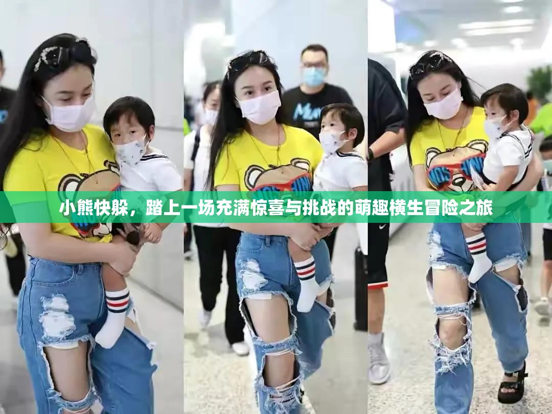 小熊快躲，踏上一场充满惊喜与挑战的萌趣横生冒险之旅