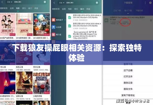 下载狼友操屁眼相关资源：探索独特体验