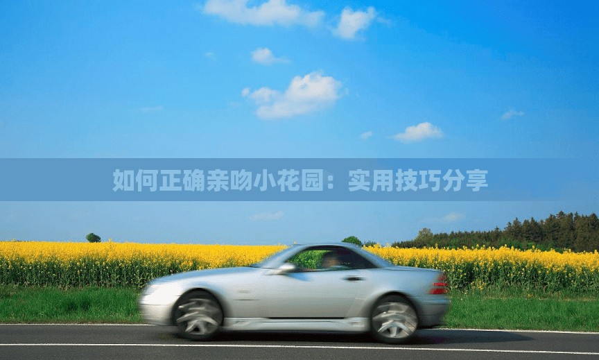 如何正确亲吻小花园：实用技巧分享