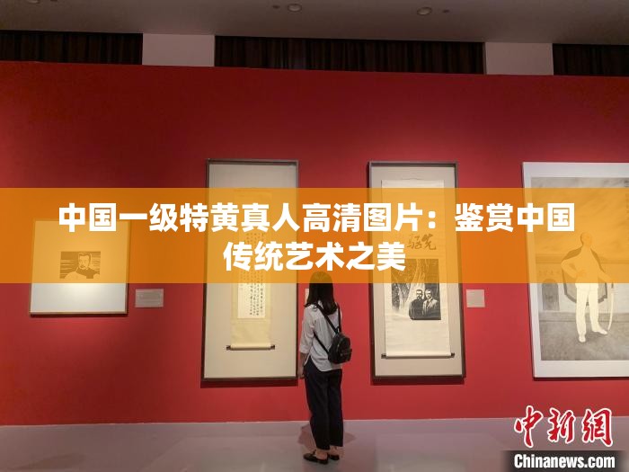 中国一级特黄真人高清图片：鉴赏中国传统艺术之美