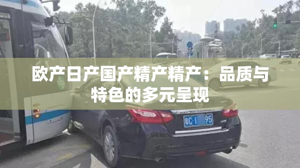 欧产日产国产精产精产：品质与特色的多元呈现