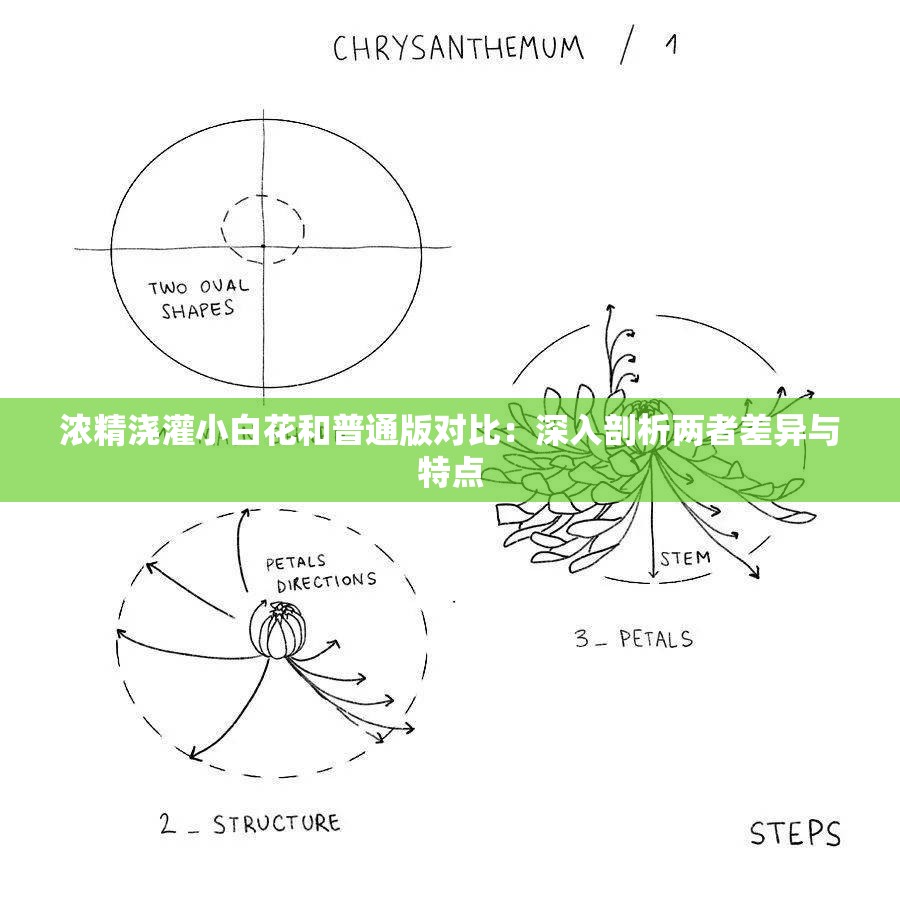 浓精浇灌小白花和普通版对比：深入剖析两者差异与特点
