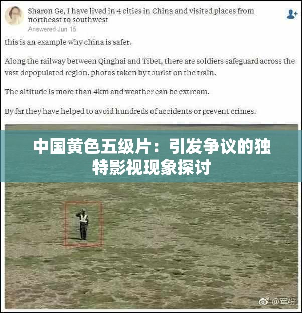 中国黄色五级片：引发争议的独特影视现象探讨