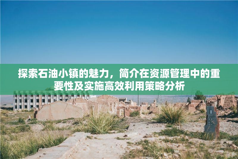 探索石油小镇的魅力，简介在资源管理中的重要性及实施高效利用策略分析
