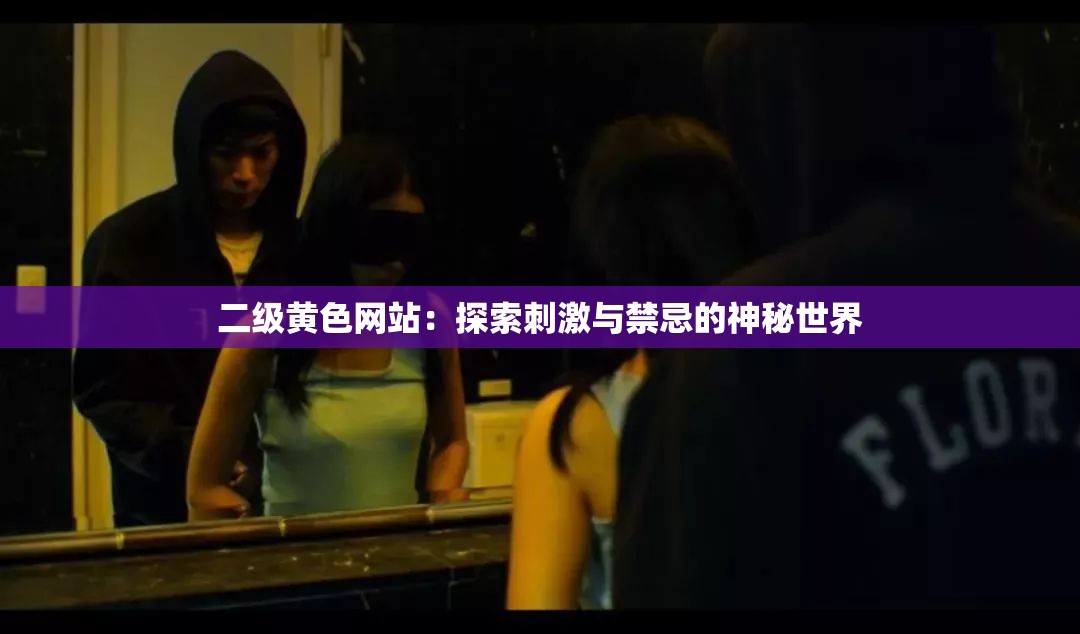 二级黄色网站：探索刺激与禁忌的神秘世界