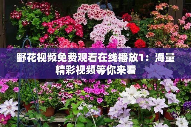 野花视频免费观看在线播放1：海量精彩视频等你来看