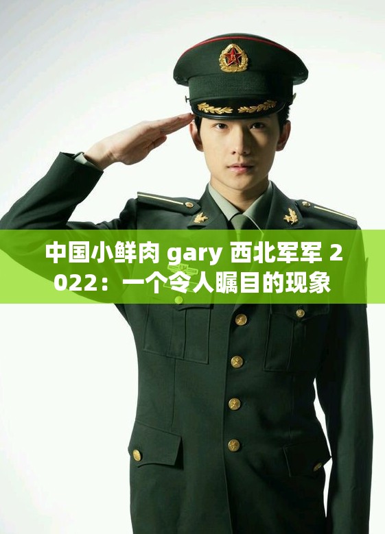 中国小鲜肉 gary 西北军军 2022：一个令人瞩目的现象