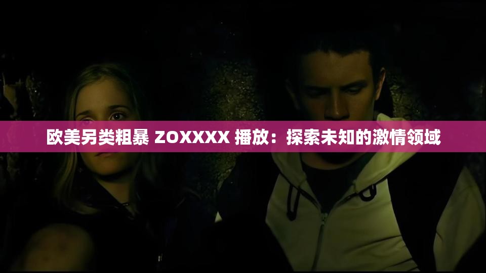 欧美另类粗暴 ZOXXXX 播放：探索未知的激情领域