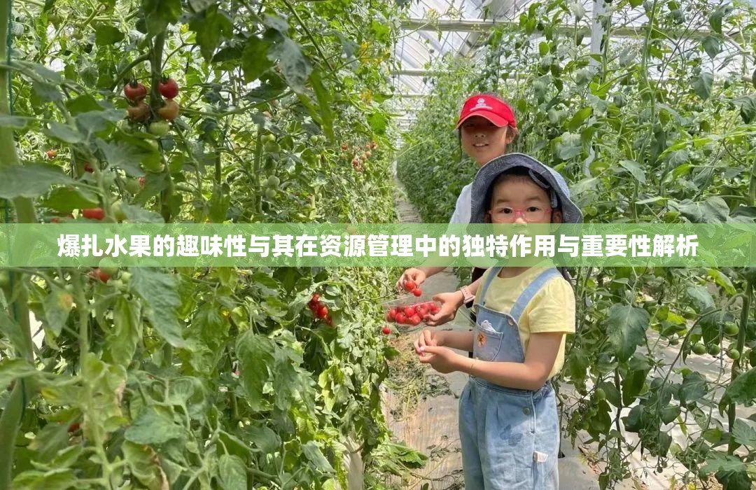 爆扎水果的趣味性与其在资源管理中的独特作用与重要性解析