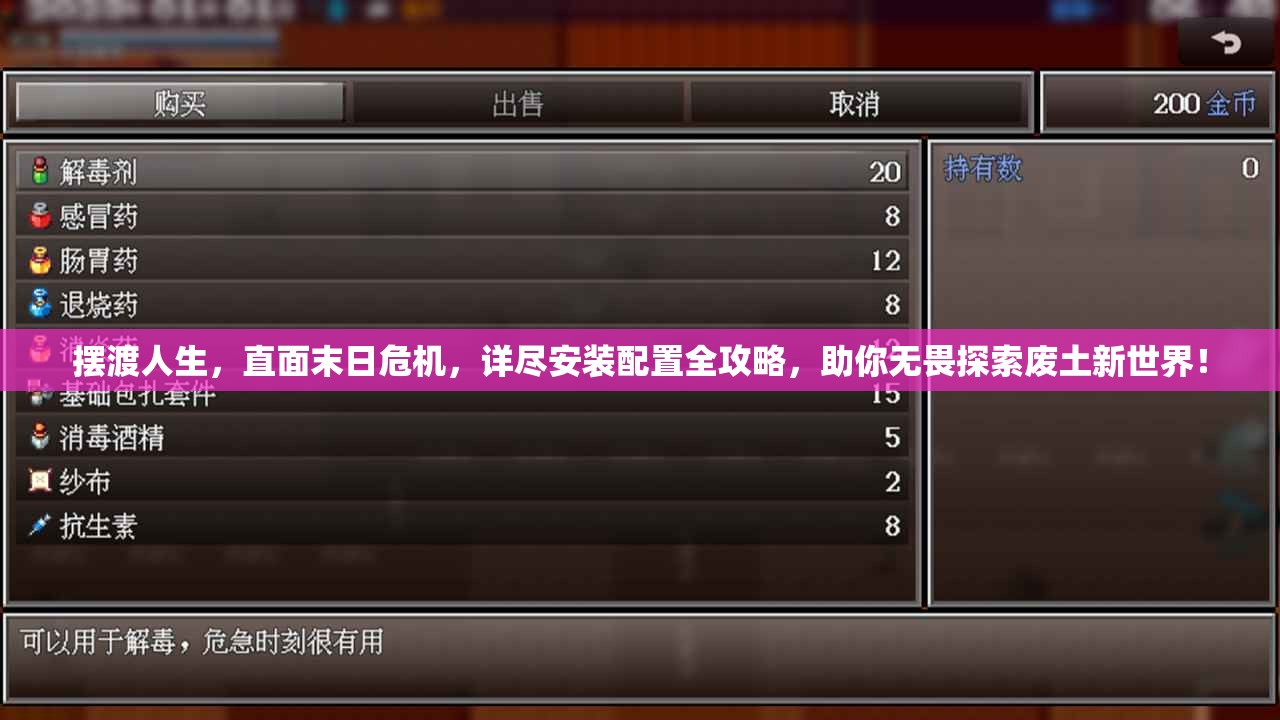 摆渡人生，直面末日危机，详尽安装配置全攻略，助你无畏探索废土新世界！