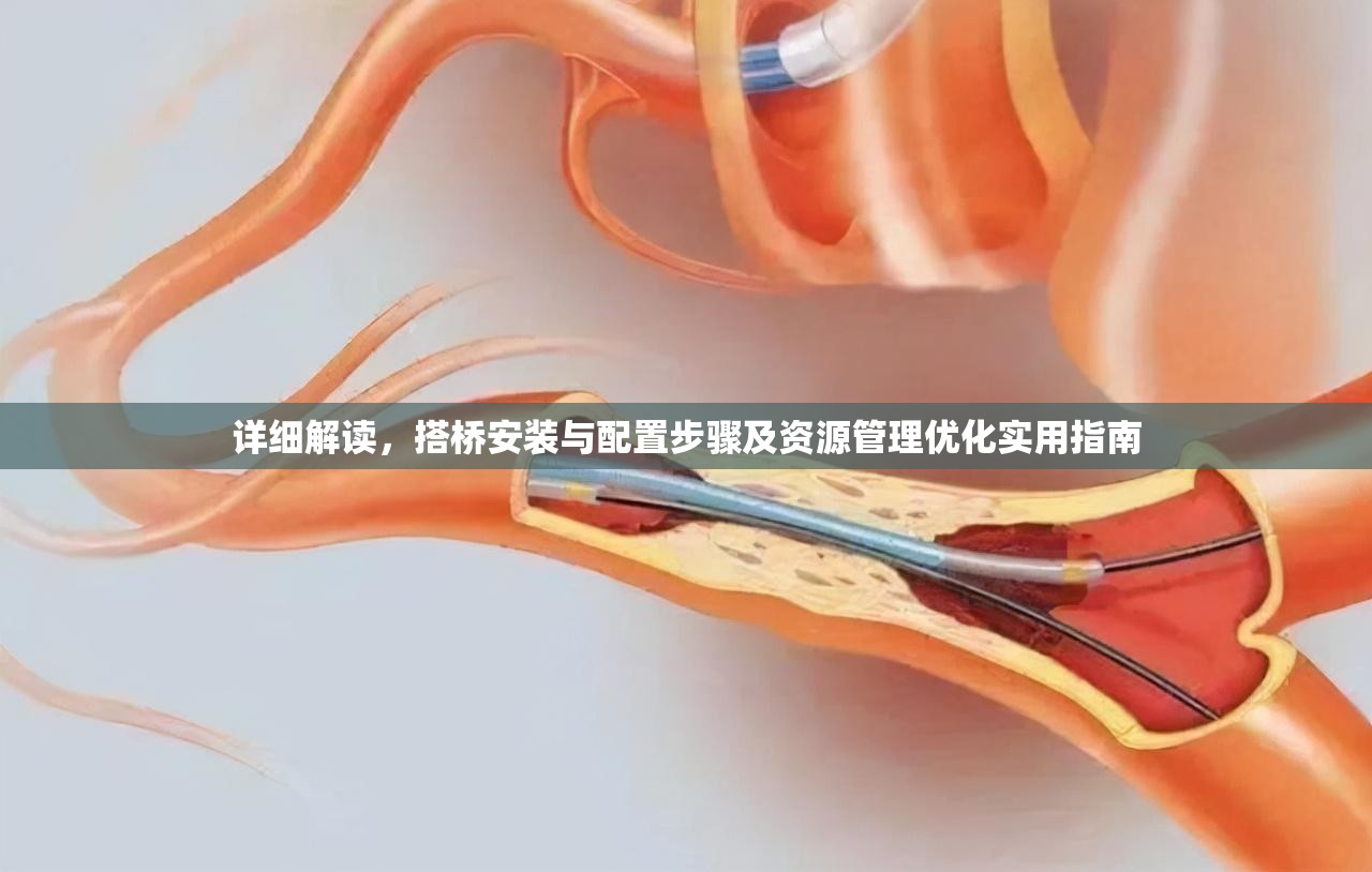 详细解读，搭桥安装与配置步骤及资源管理优化实用指南