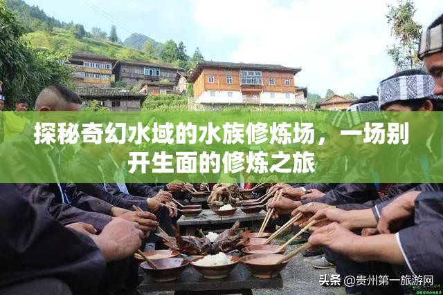 探秘奇幻水域的水族修炼场，一场别开生面的修炼之旅