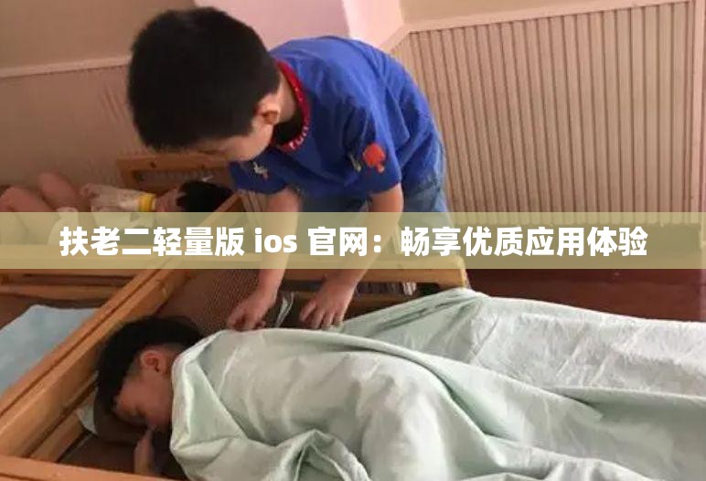 扶老二轻量版 ios 官网：畅享优质应用体验