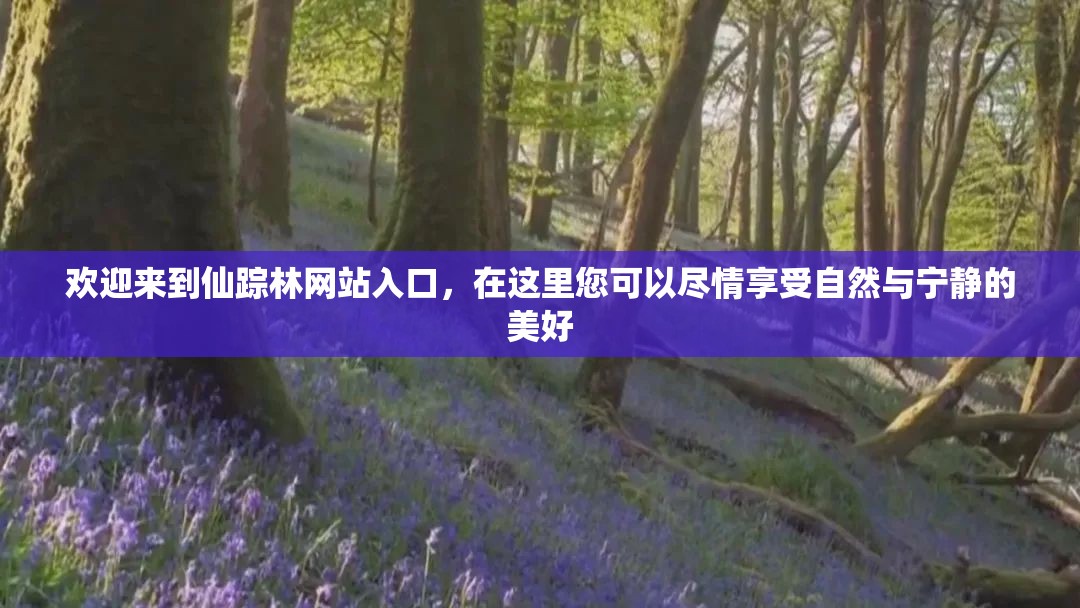 欢迎来到仙踪林网站入口，在这里您可以尽情享受自然与宁静的美好