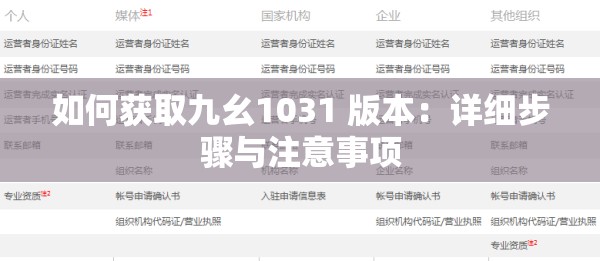 如何获取九幺1031 版本：详细步骤与注意事项