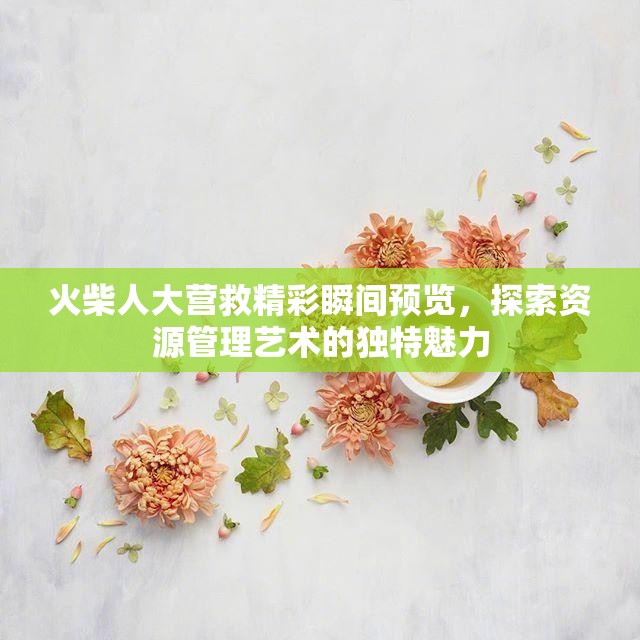 火柴人大营救精彩瞬间预览，探索资源管理艺术的独特魅力