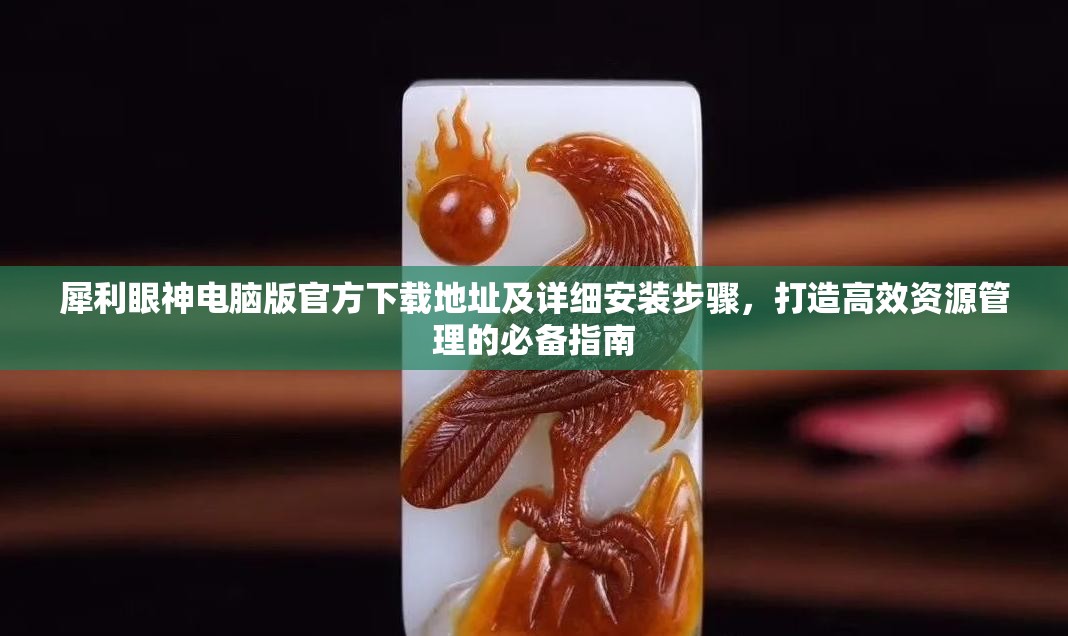 犀利眼神电脑版官方下载地址及详细安装步骤，打造高效资源管理的必备指南