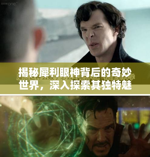 揭秘犀利眼神背后的奇妙世界，深入探索其独特魅力与深层含义