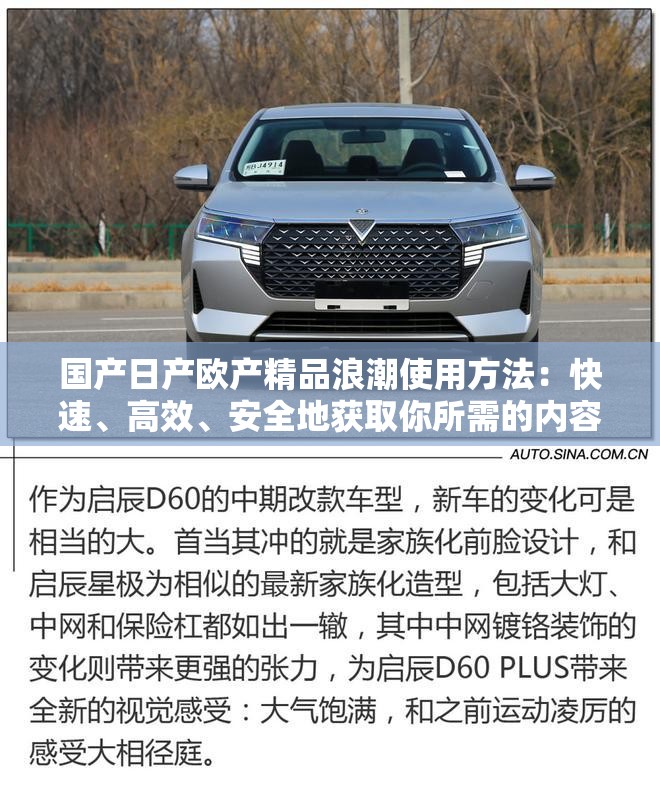 国产日产欧产精品浪潮使用方法：快速、高效、安全地获取你所需的内容