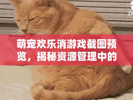 萌宠欢乐消游戏截图预览，揭秘资源管理中的智慧布局与策略运用