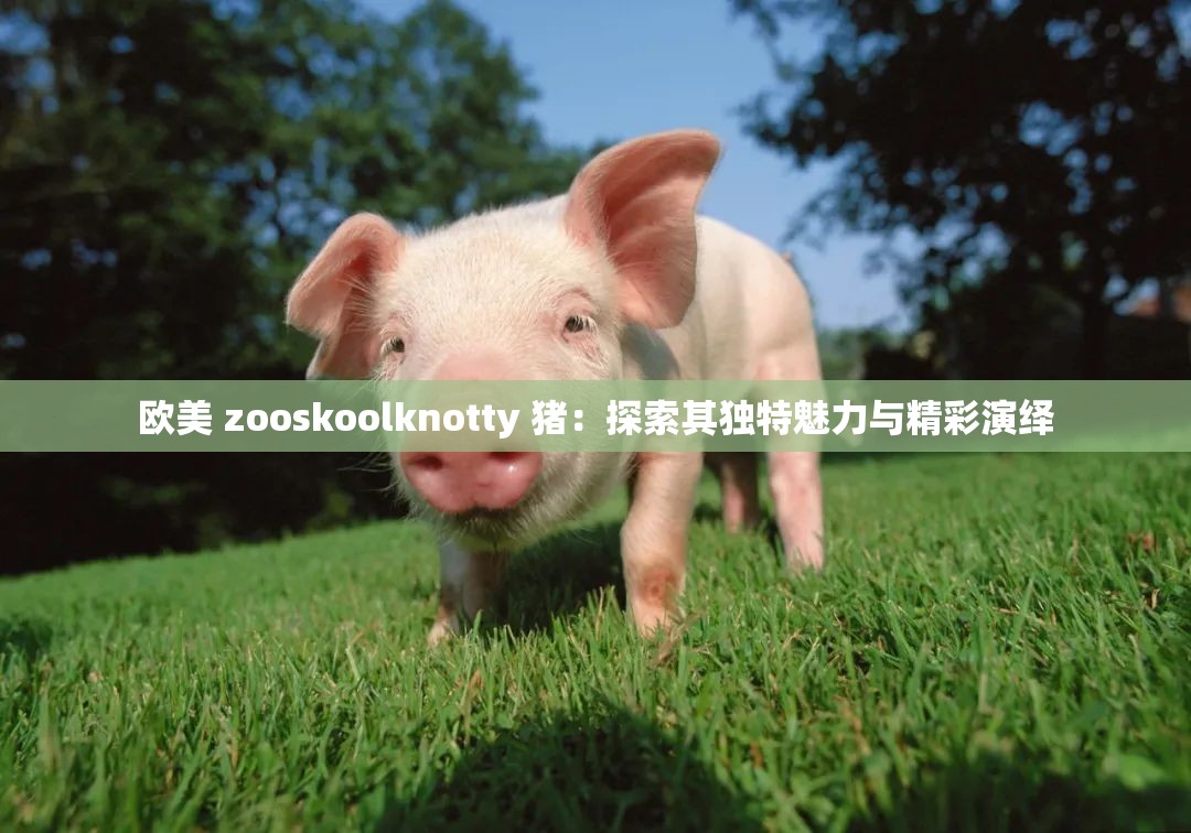 欧美 zooskoolknotty 猪：探索其独特魅力与精彩演绎