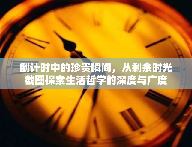 倒计时中的珍贵瞬间，从剩余时光截图探索生活哲学的深度与广度