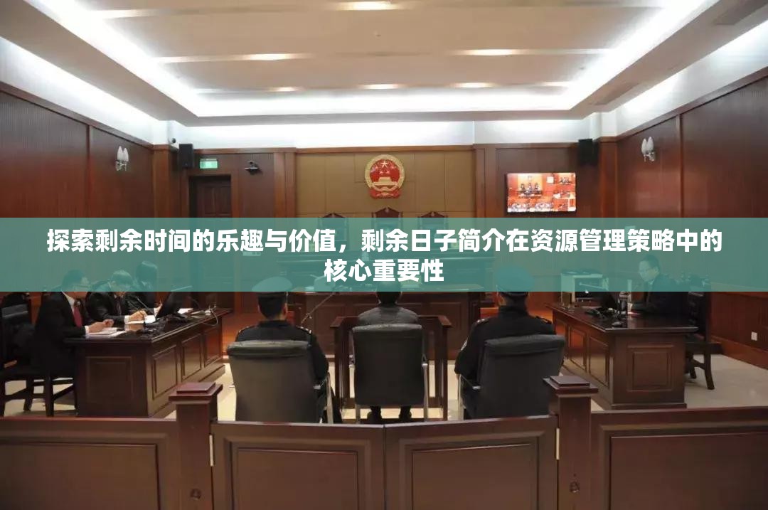 探索剩余时间的乐趣与价值，剩余日子简介在资源管理策略中的核心重要性