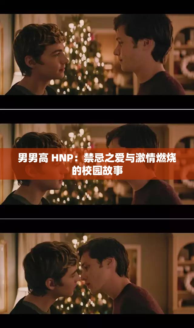 男男高 HNP：禁忌之爱与激情燃烧的校园故事