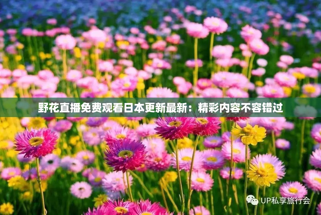 野花直播免费观看日本更新最新：精彩内容不容错过